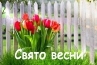 Конспект «Свято 8 Березня» | Конспект. Дошкілля